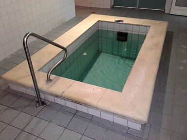 Wipselberg-Interieur-Wellness-Dompelbad_152526